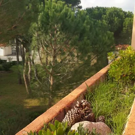 Apartment Les Boramars 4 23 Climatise Wifi 300m Plage Argeles-sur-Mer